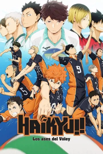 Póster de Haikyu!!